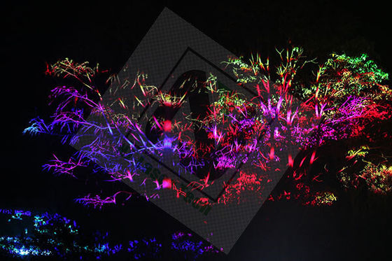 Επαγγελματικά DJ Disco Laser Lights με συχνότητα παλμού 1-50kHz 498mm × 406mm × 342mm