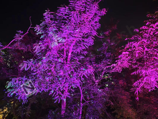 Υψηλής απόδοσης RGB Brilliant Laser Show με Laser Color Green Προσαρμοσμένο