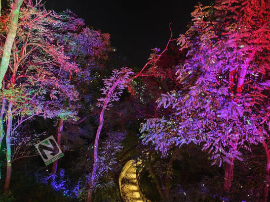 50 G Disco Laser Lighting Ηλεκτροδότηση 2 μπαταρίες AAA Διαρκής